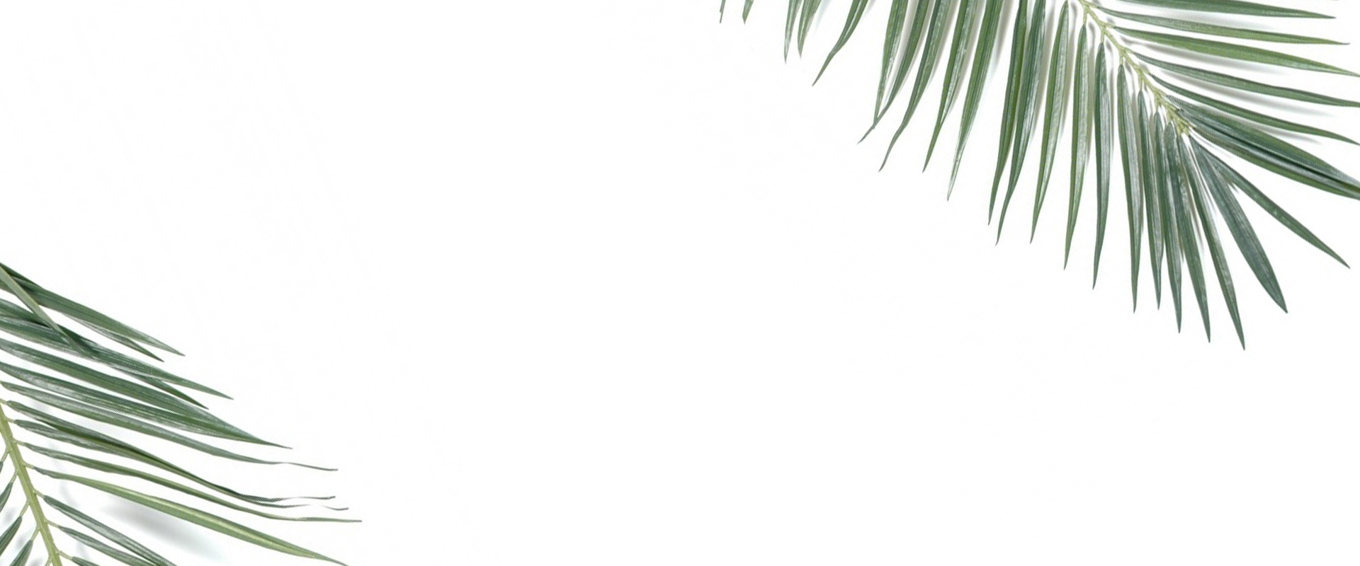 home-EASTER2019-Banner-shorter.jpg