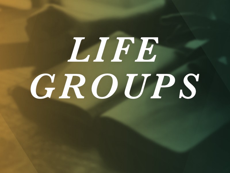 Fall Life Groups