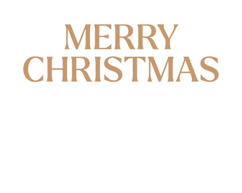 website-Christmas-2024-NO-SERVICEmobile.png